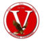 Volontari